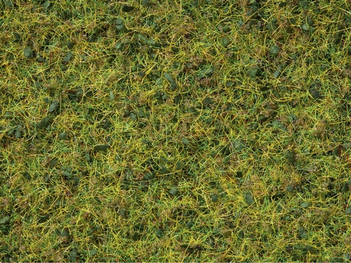 [NOC-7073] Noch 7073 - Mélange d'herbes - 50 g - 2.5 à 6 mm longueur   