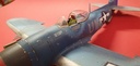 P-47 Thunderbolt - WW2 - Modèle terminé - Exécution de niveau professionnel - 1/48