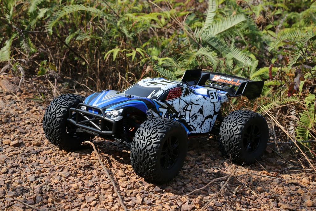 DF 3195 - TW-1 - Truggy 5.1 - Brushed - RTR avec accu et chargeur - 1/10 XL