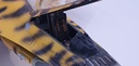 General Dynamics F-16A Fighting Falcon - Tiger Meet - Modèle terminé - Réalisation de niveau professionnel - 1/48