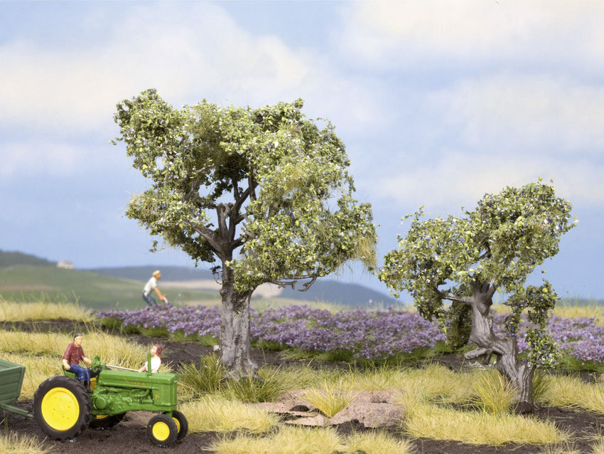 Noch 21995 - Oliviers (2 pièces) - 6 et 9 cm haut - HO-TT