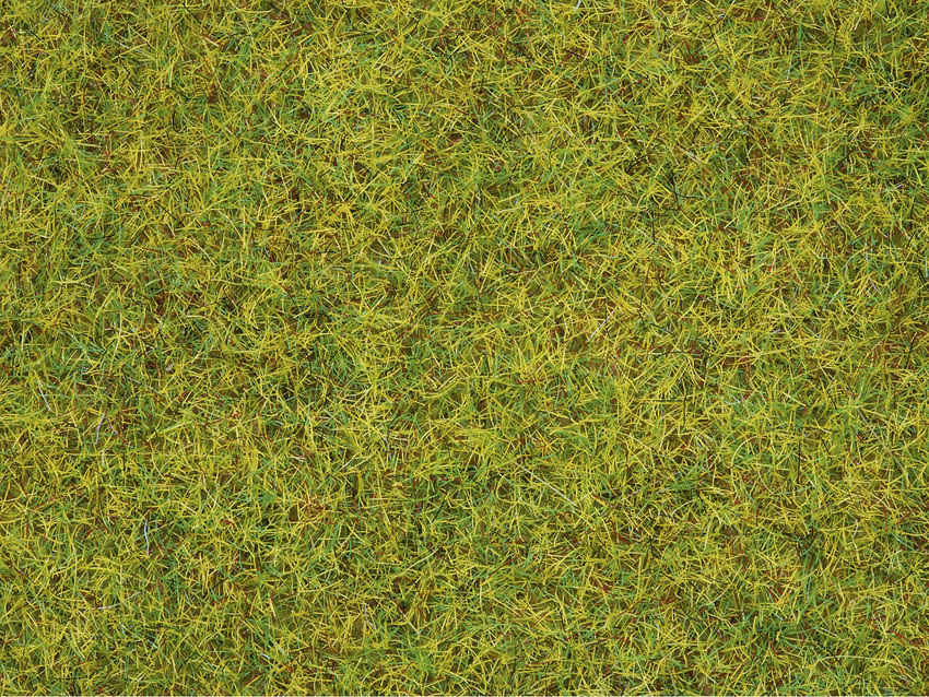 Noch 8151 - Herbe verte "Pré d'été" - 2.5mm - 120g 