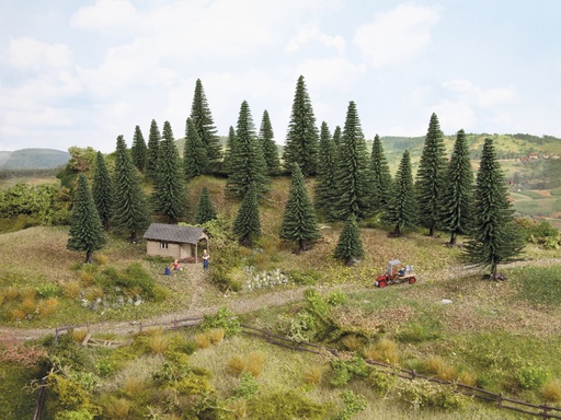 [NOC-26820] Noch 26820 - Sapins modèles 5 à 14 cm haut - 25 pièces - HO-TT   