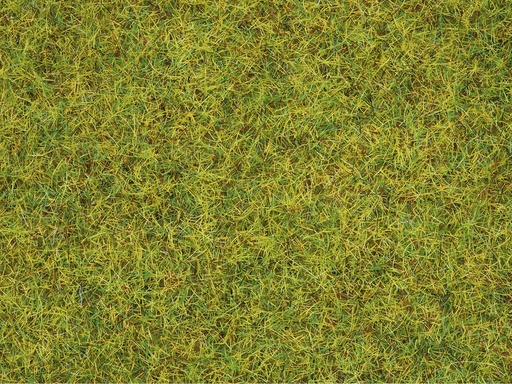 [NOC-8310] Noch 8310 - Herbes "Pré d'été"  2.5mm - 20 g  