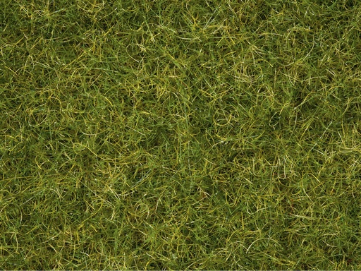 [NOC-7072] Noch 7072 - Mélange d'herbes - 50 g - 2.5 à 6 mm longueur  