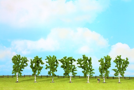 [NOC-25096] Noch 25096 - Bouleaux - 7 pièces -10 cm haut - HO-TT-N-Z  