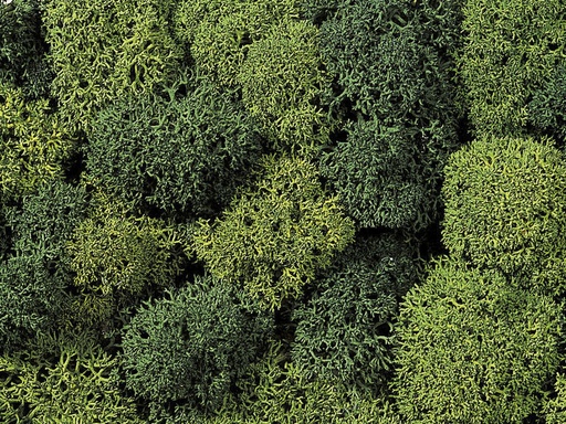 [NOC-8610] Noch 8610 - Mousse décor vert clair et foncé 35g